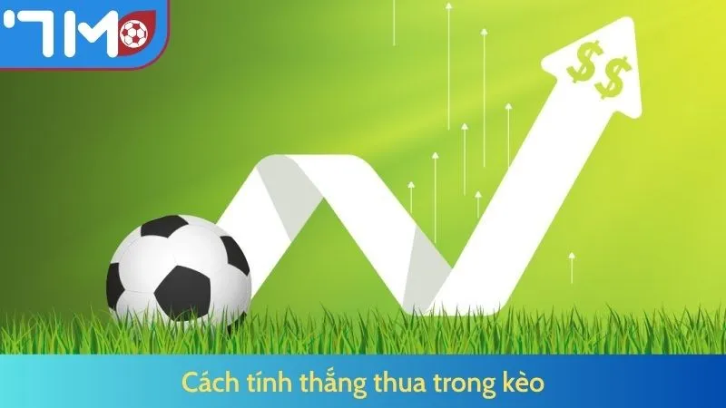 Cách tính thắng thua trong kèo