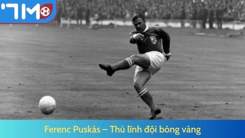 Ferenc Puskás – Thủ lĩnh đội bóng vàng
